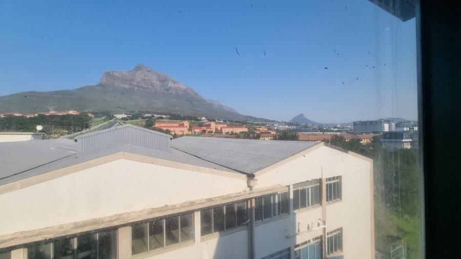Commercial Property for Sale in Salt River Western Cape